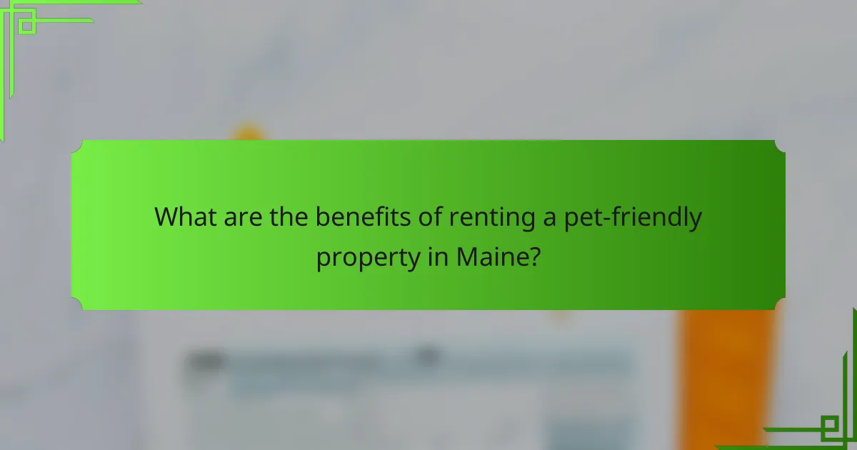What are the benefits of renting a pet-friendly property in Maine?